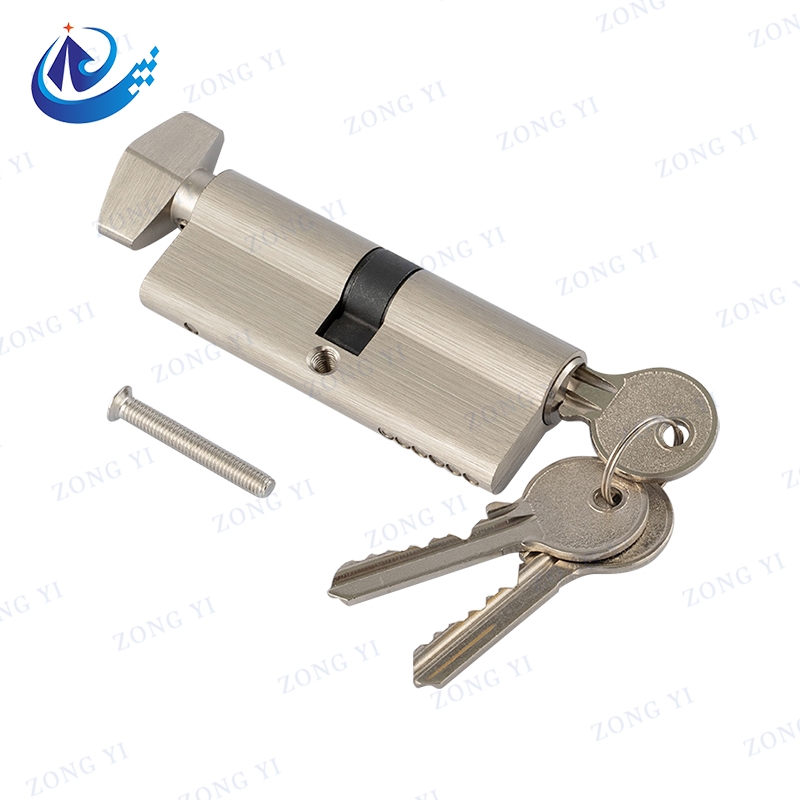 Euro Profile Thumbturn Mortise Brass Brass Key Cylinder Lock